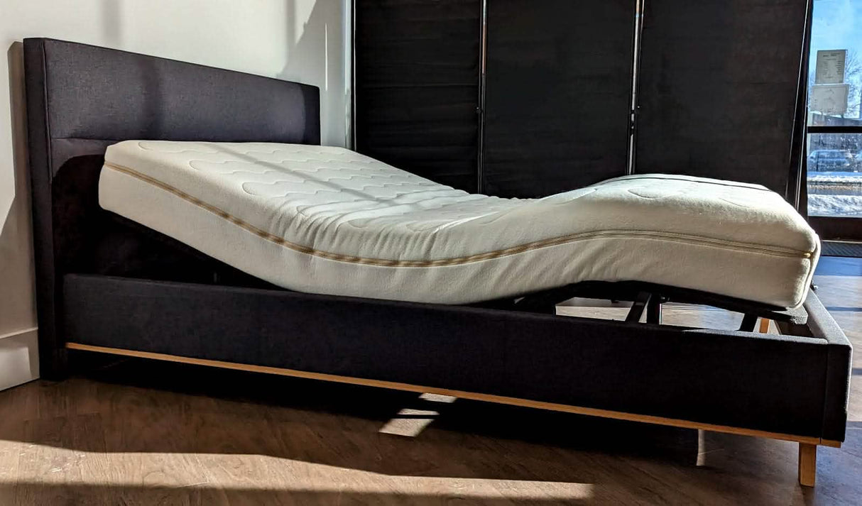 Rochelle dark grey bed w/ Logicdata Optimus electric adjustable + t•masc Organic Mattress in Sherwood Park.